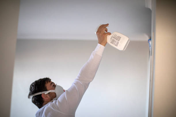 Best Mold Damage Repair  in Hyattsville, MD